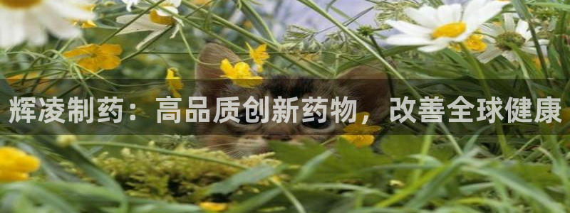 九游老哥俱乐部官网登录网址：辉凌制药：高品质创新药物，改善全球健康