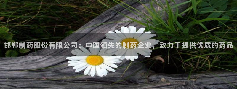 九游老哥俱乐部官网登录不了：邯郸制药股份有限公司：中国领先的制药企业，致力于提供优质的药品