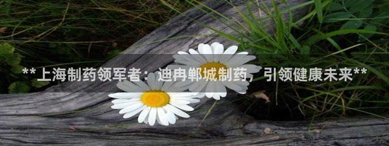 九游会老哥俱乐部社区论坛：**上海制药领军者：迪冉郸城制药，引领健康未来**