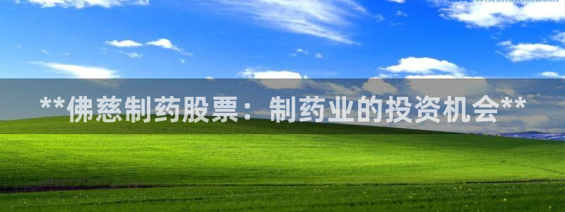ag九游会老哥：**佛慈制药股票：制药业的投资机会**