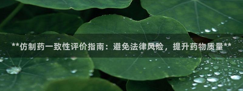 9游会老哥俱乐部：**仿制药一致性评价指南：避免法律风险，提升药物质量**