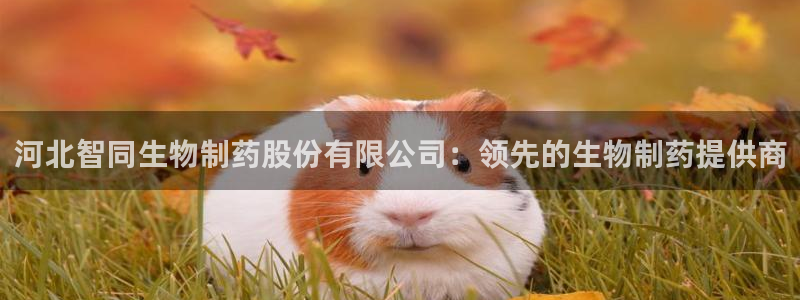 9游会老哥俱乐部：河北智同生物制药股份有限公司：领先的生物制药提供商