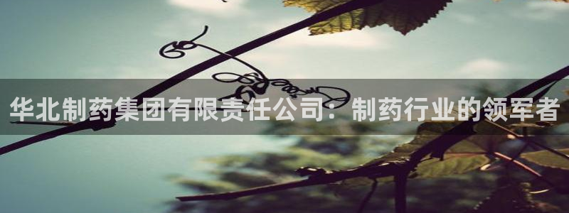九游会老哥俱乐部交流社区：华北制药集团有限责任公司：制药行业的领军者