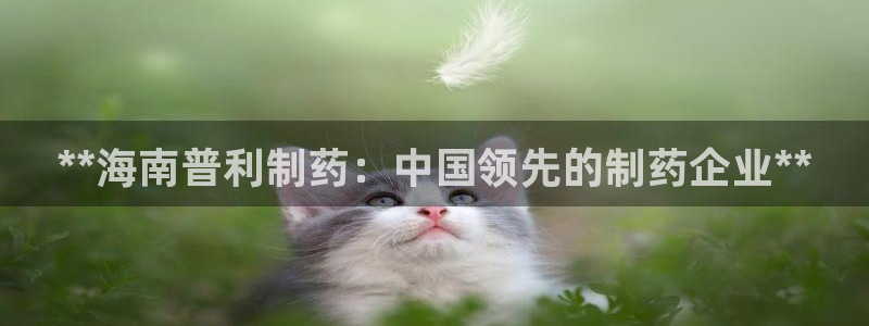 ag九游老哥俱乐部：**海南普利制药：中国领先的制药企业**