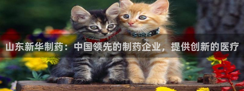 老哥吧九游会下架吗：山东新华制药：中国领先的制药企业，提供创新的医疗