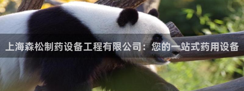 九游会老哥俱乐部必备的交流社区：上海森松制药设备工程有限公司：您的一站式药用设备
