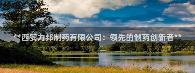 九游会老哥：**西安力邦制药有限公司：领先的制药创新者**