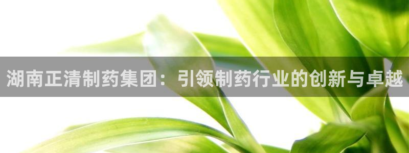 九游会老哥俱乐部：湖南正清制药集团：引领制药行业的创新与卓越