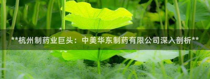 九游老哥俱乐部官网登录不了：**杭州制药业巨头：中美华东制药有限公司深入剖析**