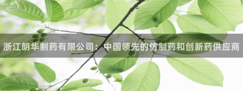 九游会老哥俱乐部官网：浙江朗华制药有限公司：中国领先的仿制药和创新药供应商