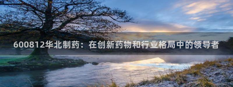 usdt九游会老哥俱乐部：600812华北制药：在创新药物和行业格局中的领导者