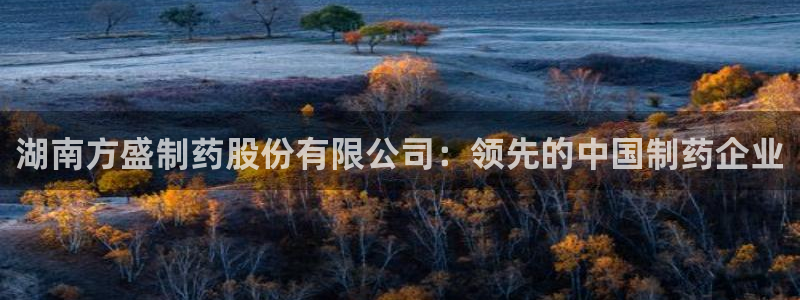 九游会老哥必备的交流社区：湖南方盛制药股份有限公司：领先的中国制药企业