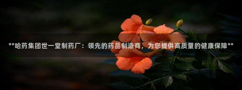 ag九游会老哥：**哈药集团世一堂制药厂：领先的药品制造商，为您提供高质量的健康保障**