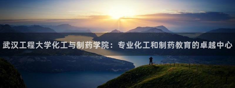老哥俱乐部是干什么的：武汉工程大学化工与制药学院：专业化工和制药教育的卓越中心