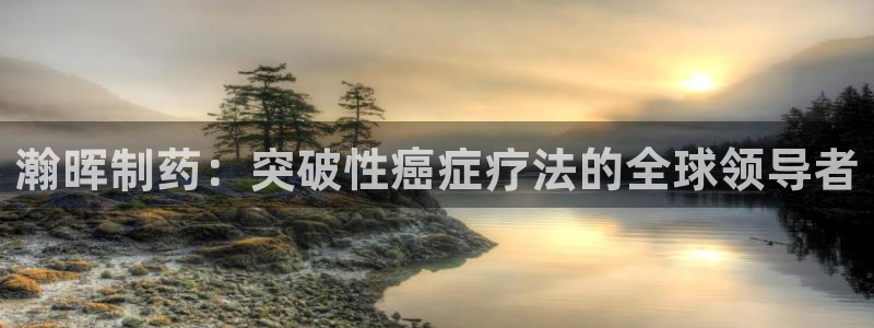 九游老哥俱乐部官网登录：瀚晖制药：突破性癌症疗法的全球领导者