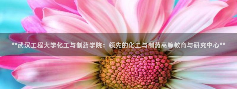 九游会老哥俱乐部官网：**武汉工程大学化工与制药学院：领先的化工与制药高等教育与研究中心**