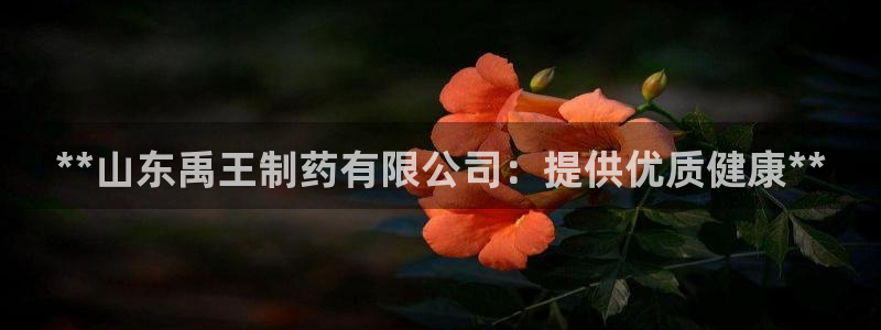 老哥俱乐部是干什么的啊：**山东禹王制药有限公司：提供优质健康**