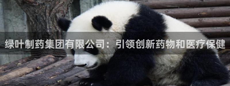 九游会老哥：绿叶制药集团有限公司：引领创新药物和医疗保健