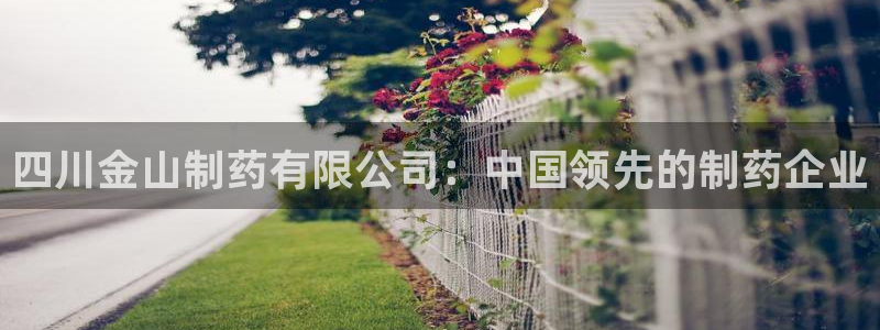 九游老哥俱乐部登录：四川金山制药有限公司：中国领先的制药企业