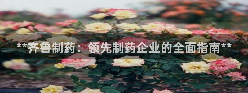 九游会老哥俱乐部社区论坛：**齐鲁制药：领先制药企业的全面指南**
