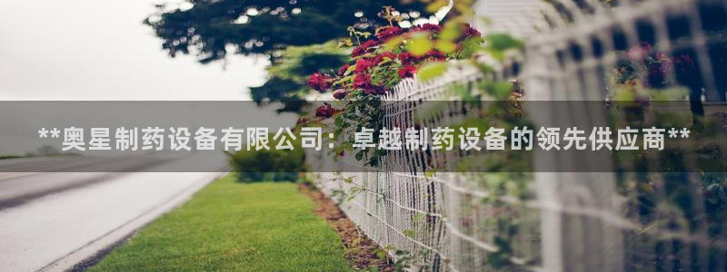 老哥俱乐部是干什么的：**奥星制药设备有限公司：卓越制药设备的领先供应商**