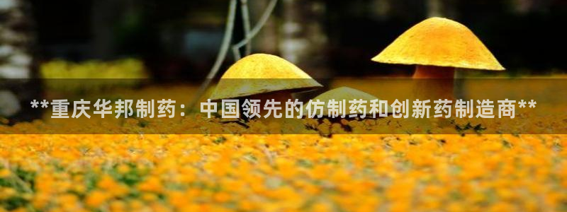 九游会老哥俱乐部官方网站：**重庆华邦制药：中国领先的仿制药和创新药制造商**
