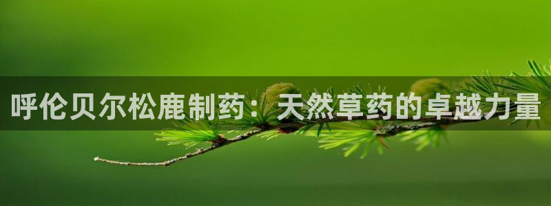 九游会老哥俱乐部官网首页论坛：呼伦贝尔松鹿制药：天然草药的卓越力量