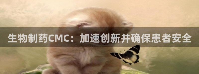 九游会老哥俱乐部必备的交流社区：生物制药CMC：加速创新并确保患者安全