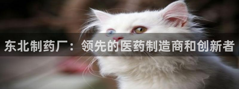 九游会老哥必备的交流社区九：东北制药厂：领先的医药制造商和创新者