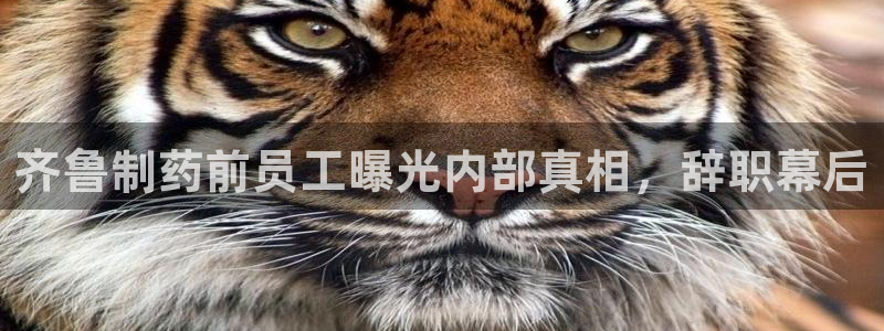 老哥俱乐部是干什么的：齐鲁制药前员工曝光内部真相，辞职幕后