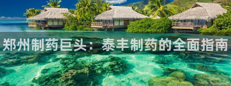 9游会老哥：郑州制药巨头：泰丰制药的全面指南