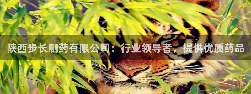 九游老哥俱乐部官网登录入口：陕西步长制药有限公司：行业领导者，提供优质药品