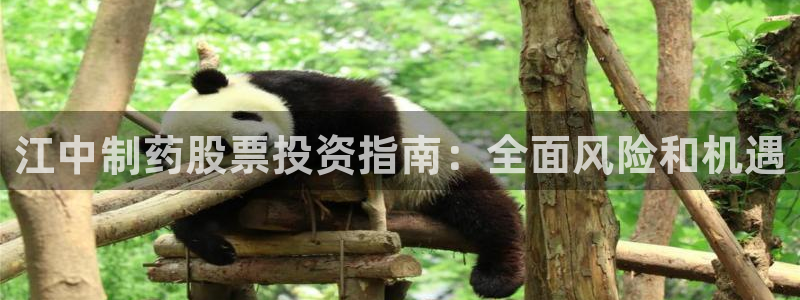 j9九游会老哥俱乐部交流区：江中制药股票投资指南：全面风险和机遇
