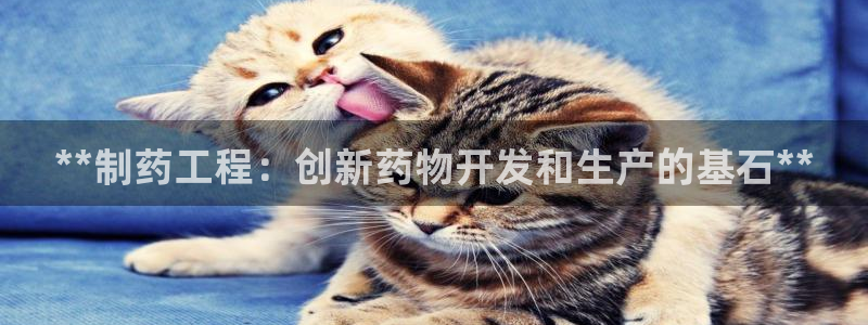9游会老哥：**制药工程：创新药物开发和生产的基石**