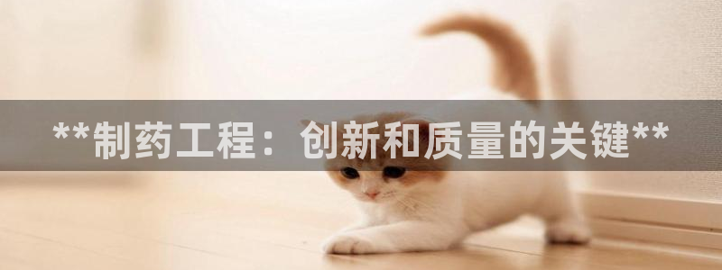 九游老哥俱乐部官网登录：**制药工程：创新和质量的关键**