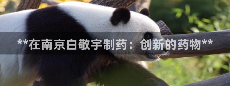 九游会老哥：**在南京白敬宇制药：创新的药物**