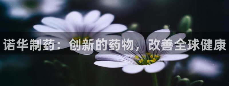 九游老哥俱乐部官网登录网址：诺华制药：创新的药物，改善全球健康