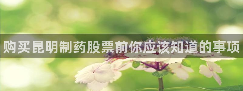 九游会老哥必备的交流社区九：购买昆明制药股票前你应该知道的事项