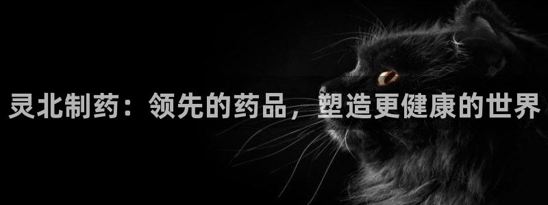 ag九游老哥俱乐部：灵北制药：领先的药品，塑造更健康的世界