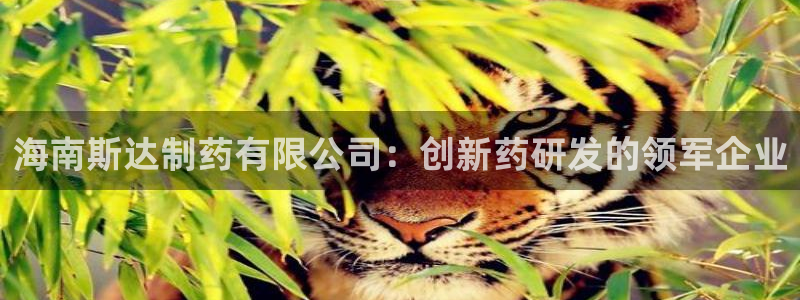老哥俱乐部是干什么的啊：海南斯达制药有限公司：创新药研发的领军企业