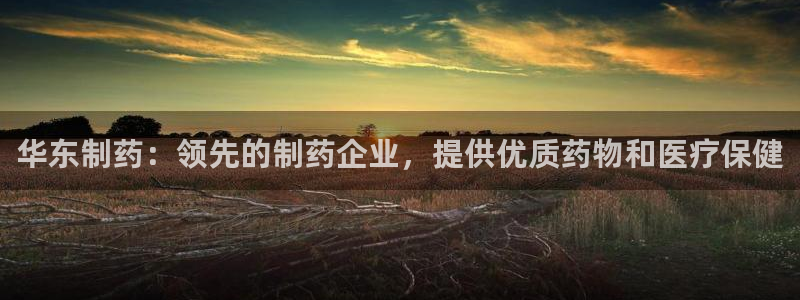 九游老哥俱乐部官网登录不了：华东制药：领先的制药企业，提供优质药物和医疗保健