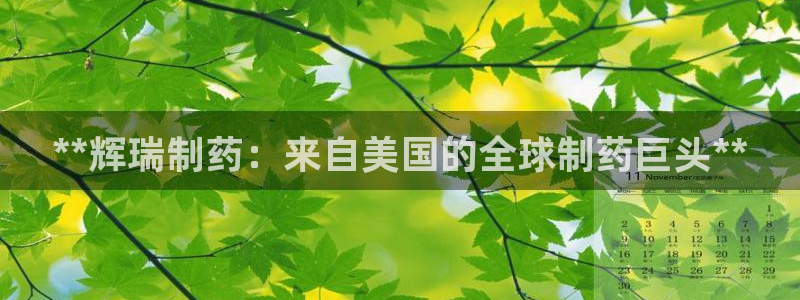 九游老哥俱乐部官网登录入口：**辉瑞制药：来自美国的全球制药巨头**