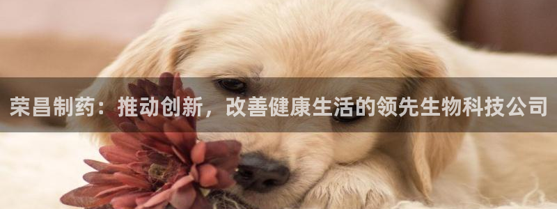 ag九游老哥俱乐部：荣昌制药：推动创新，改善健康生活的领先生物科技公司