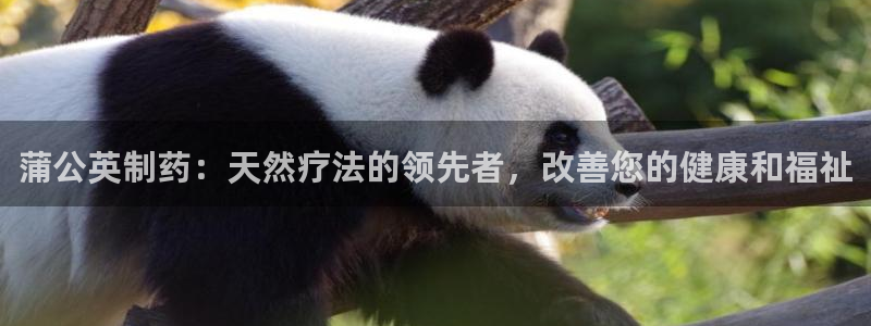 九游会老哥必备的交流社区：蒲公英制药：天然疗法的领先者，改善您的健康和福祉