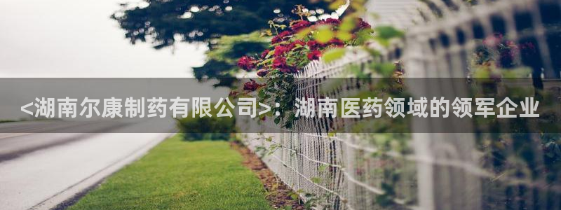 usdt九游会老哥俱乐部：<湖南尔康制药有限公司>：湖南医药领域的领军企业