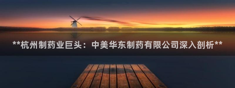 老哥俱乐部是干什么的：**杭州制药业巨头：中美华东制药有限公司深入剖析**