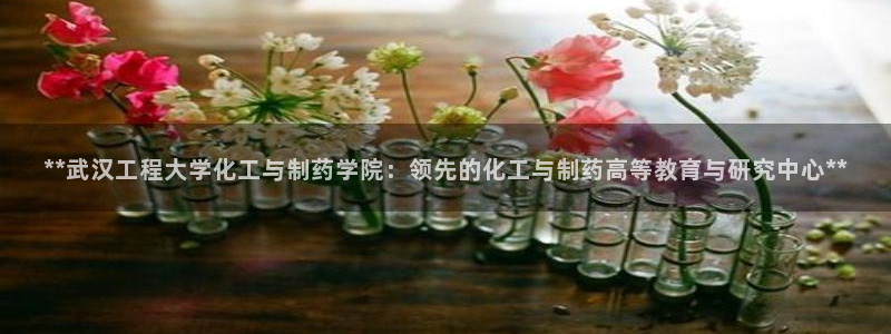 九游老哥俱乐部官网登录入口：**武汉工程大学化工与制药学院：领先的化工与制药高等教育与研究中心**