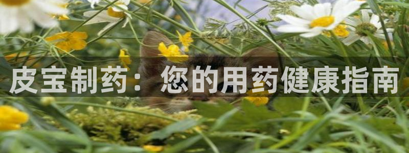 老哥吧九游会下架吗：皮宝制药：您的用药健康指南