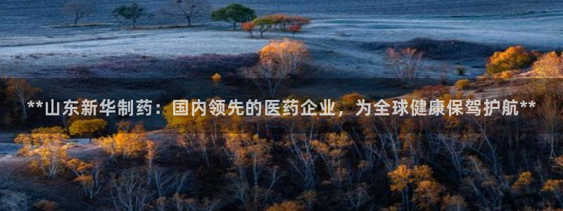 九游会老哥俱乐部必备的交流社区论坛：**山东新华制药：国内领先的医药企业，为全球健康保驾护航**