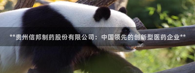 老哥吧九游会：**贵州信邦制药股份有限公司：中国领先的创新型医药企业**